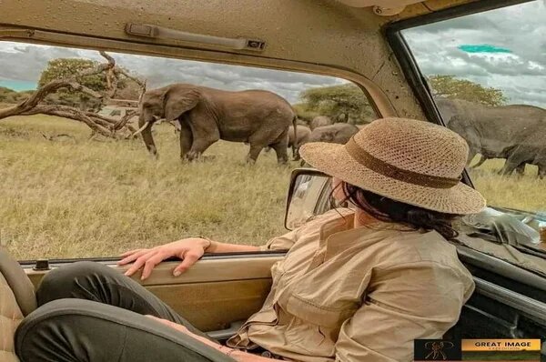 7 Days Safari