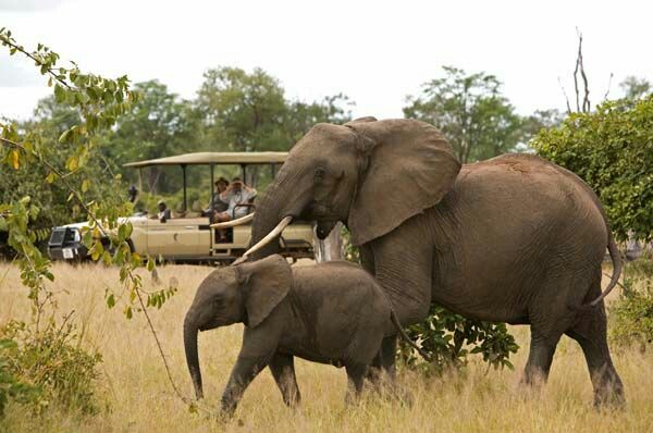 Tanzania Joining Safari Itinerary | Group Departures from Arusha | Generous African Tours