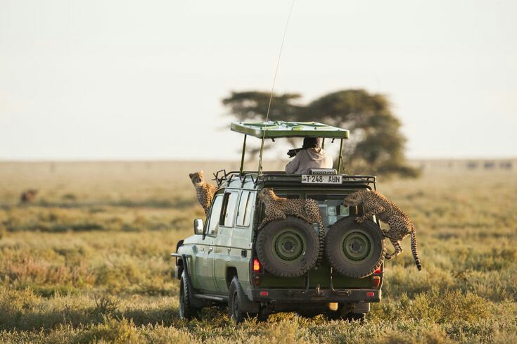 5 Days Tanzania Sharing Safari