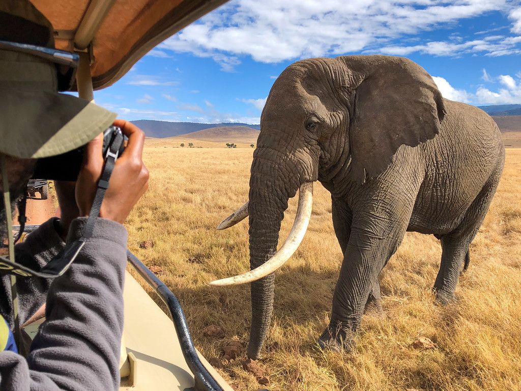 5-Day Tanzania Safari: Serengeti & Ngorongoro | Generous Tours & Safaris 2027