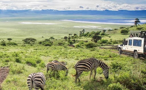 Family Safari Tanzania Packages – 6 Days | Generous Tours & Safari gallery 1