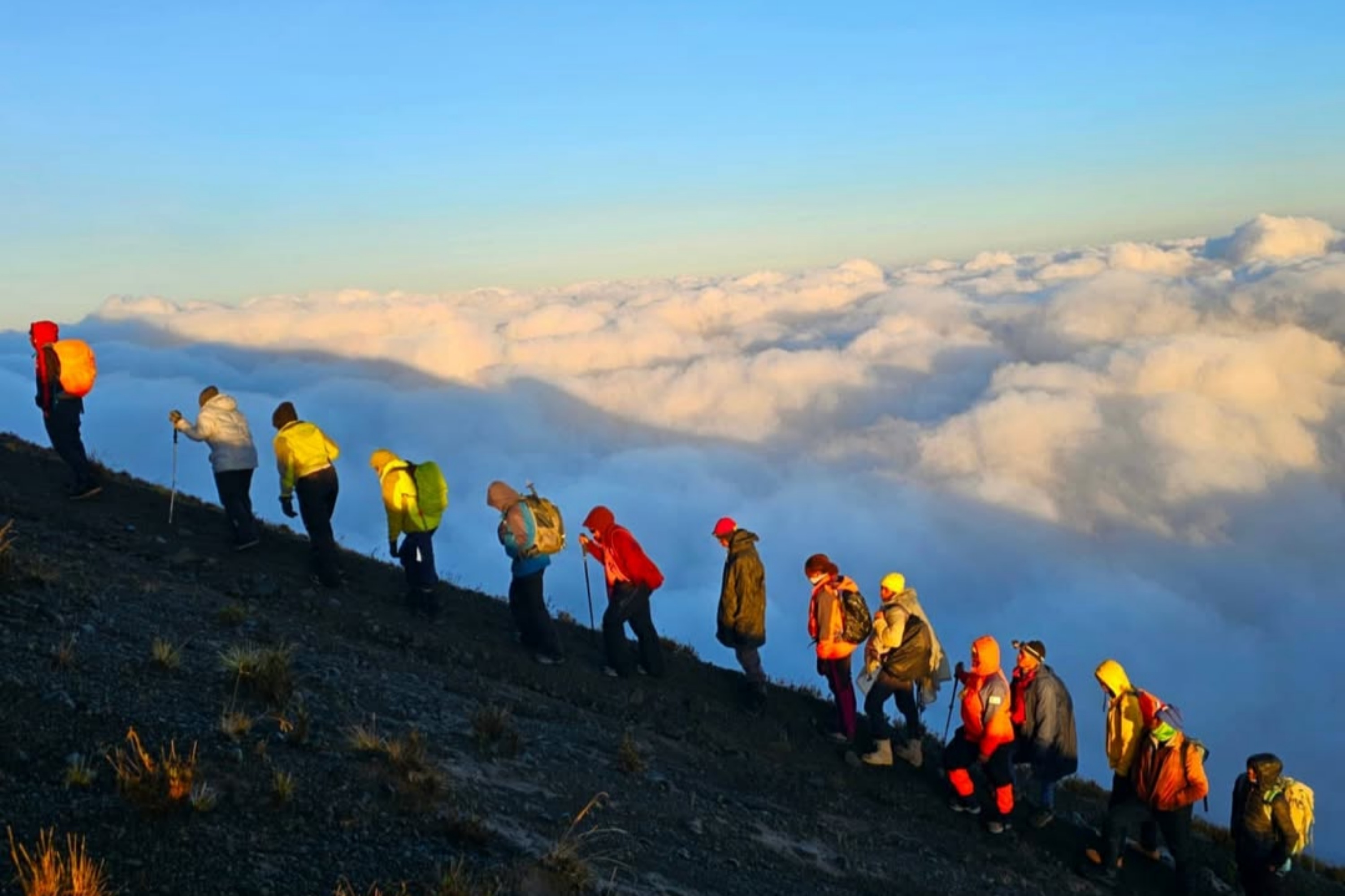 Rongai Route Kilimanjaro Climb 7 Days | Northern Side