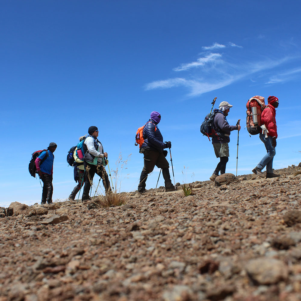 Rongai Route Kilimanjaro Climbing 6 Days | Fast Ascent