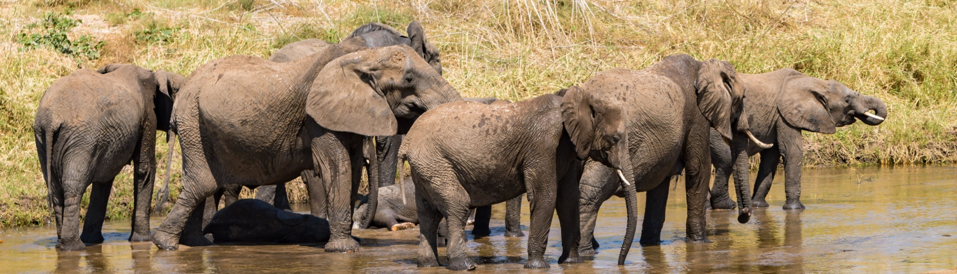 3 Days Tanzania Sharing Safari