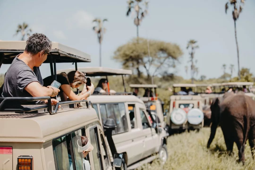 3-Day Serengeti Safari Package | Generous Tours & Safaris