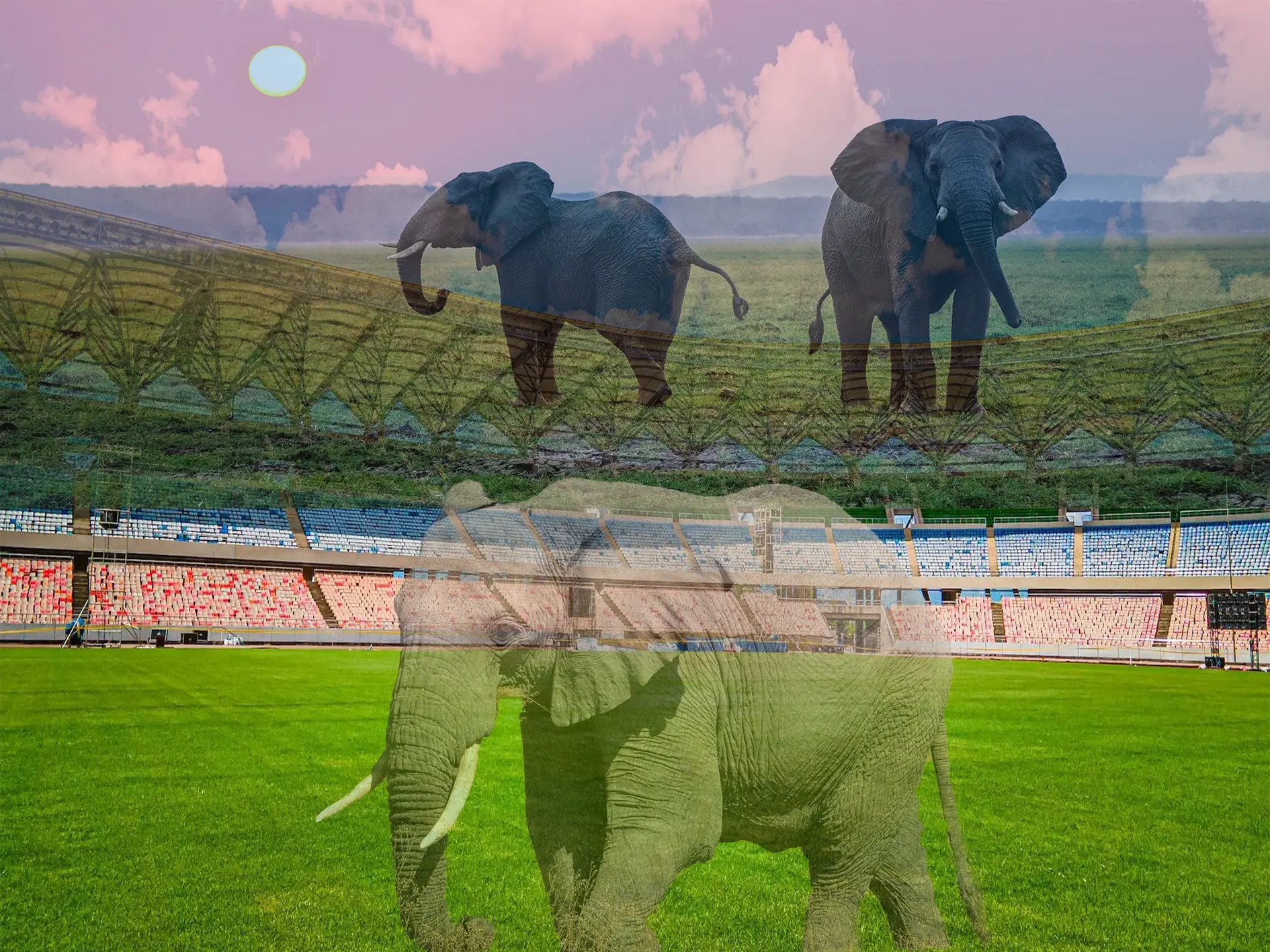 AFCON Family Travel Package | Generous African Tours