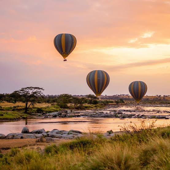 Luxury Ngorongoro Crater Lodge Safari – 3 Days | Generous Tours & Safaris