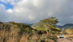 Serengeti Photographic Safari – Private Vehicle | Generous Tours  & Safaris gallery 2