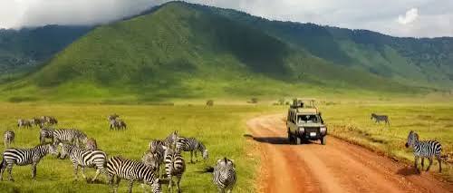 5 Days Tanzania Sharing Safari