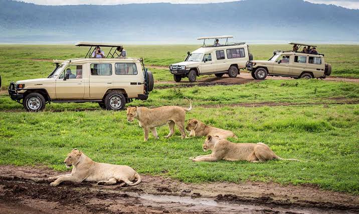 Last Minute Sharing Safari from Arusha
