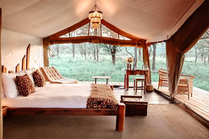 Tanzania Honeymoon Safari Packages | Generous Tours & Safaris gallery 1