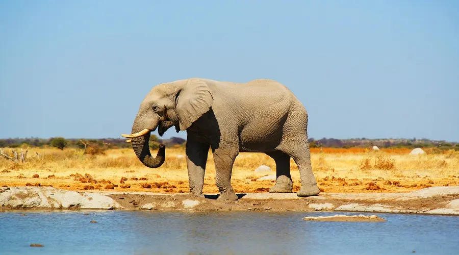 Tanzania Northern Circuit Safari Guide | Generous Tours gallery image 3