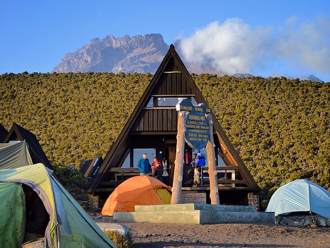 8 Days Lemosho Route | Premium Kilimanjaro Adventure.