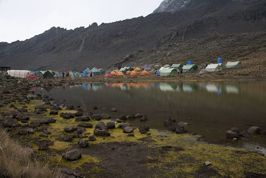 8 Days Kilimanjaro Trekk