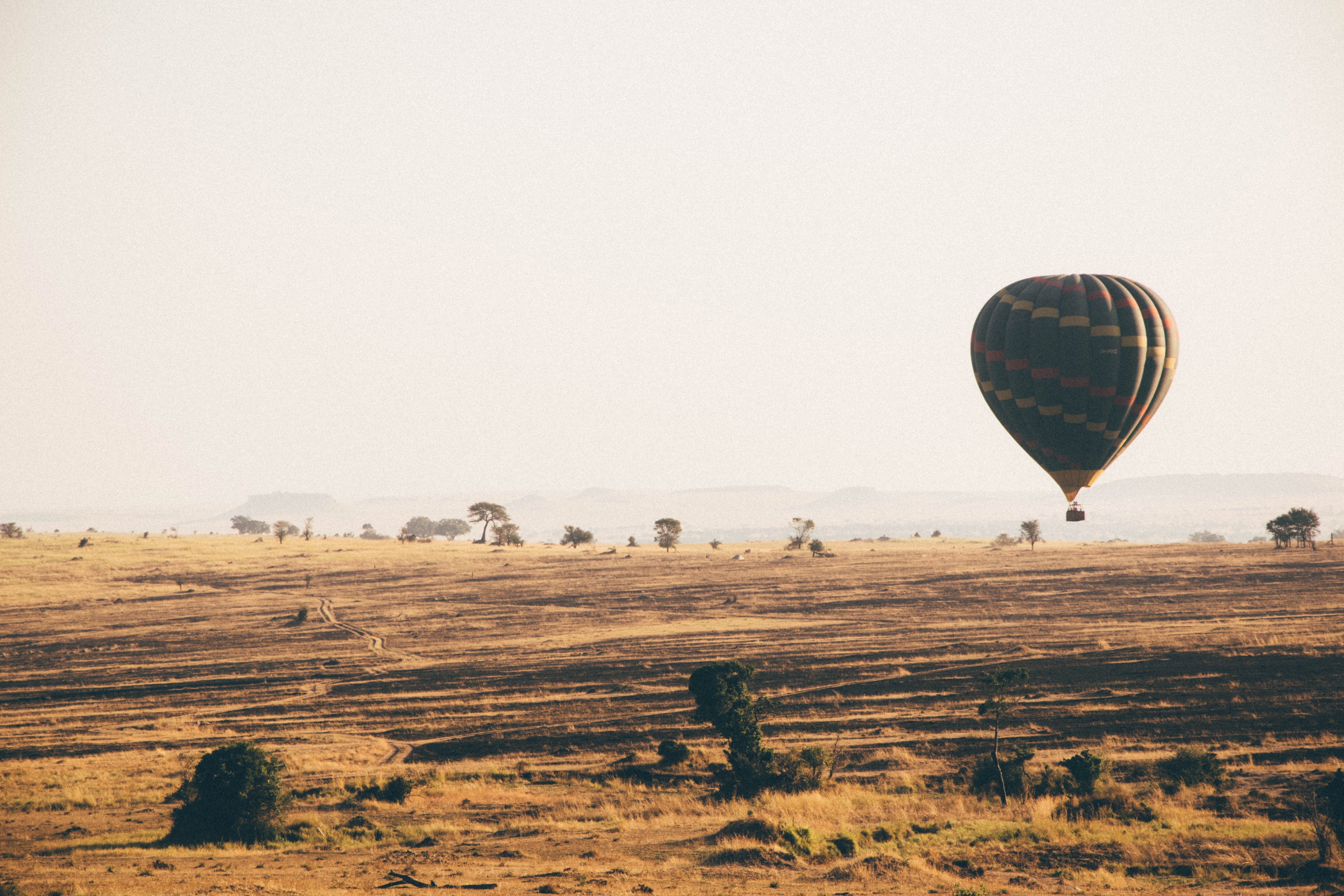 Premium safari experience
