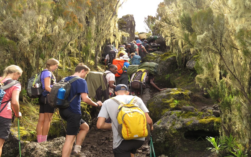7 Days Machame Route | Luxury Kilimanjaro Climb.