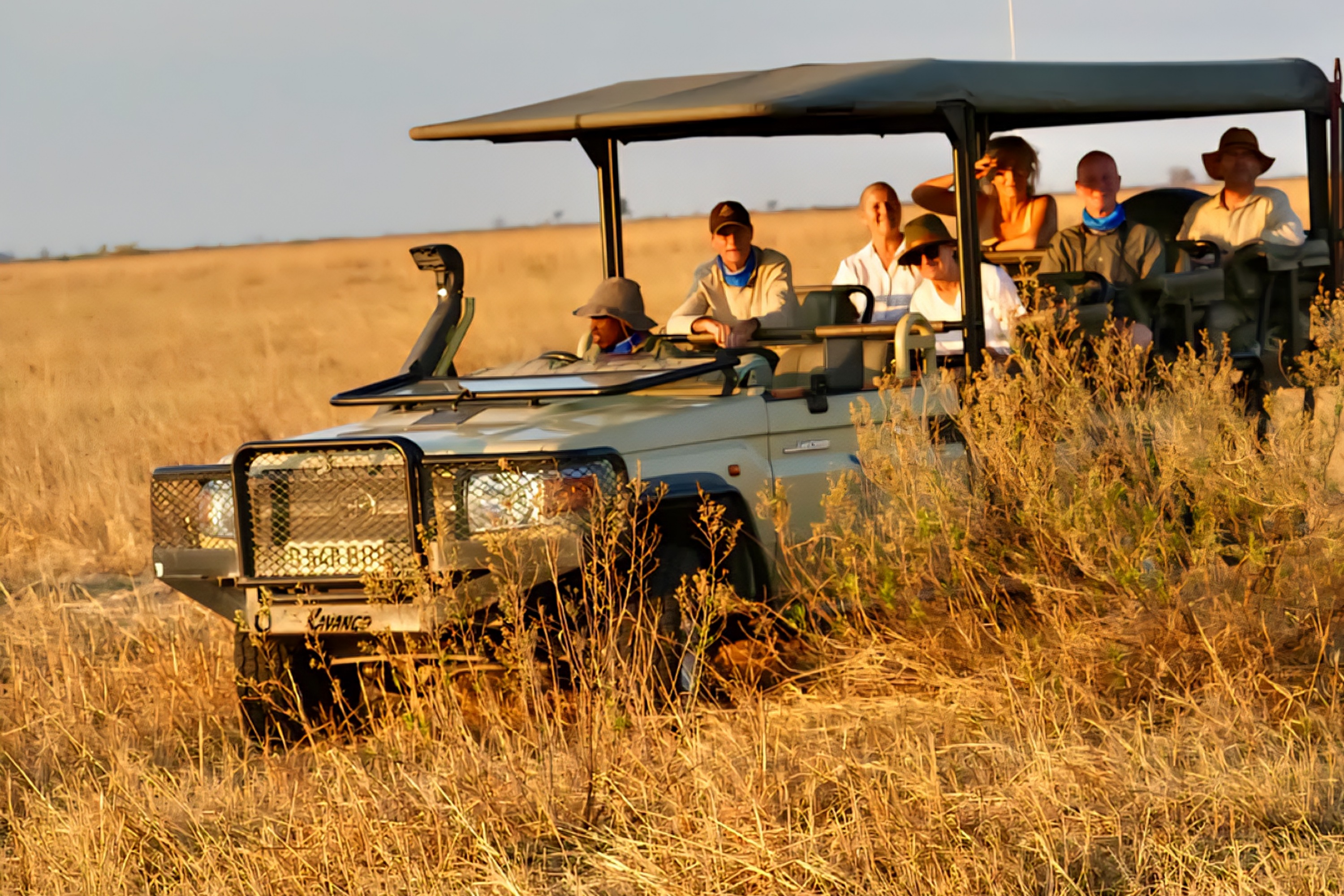Luxury migration safari