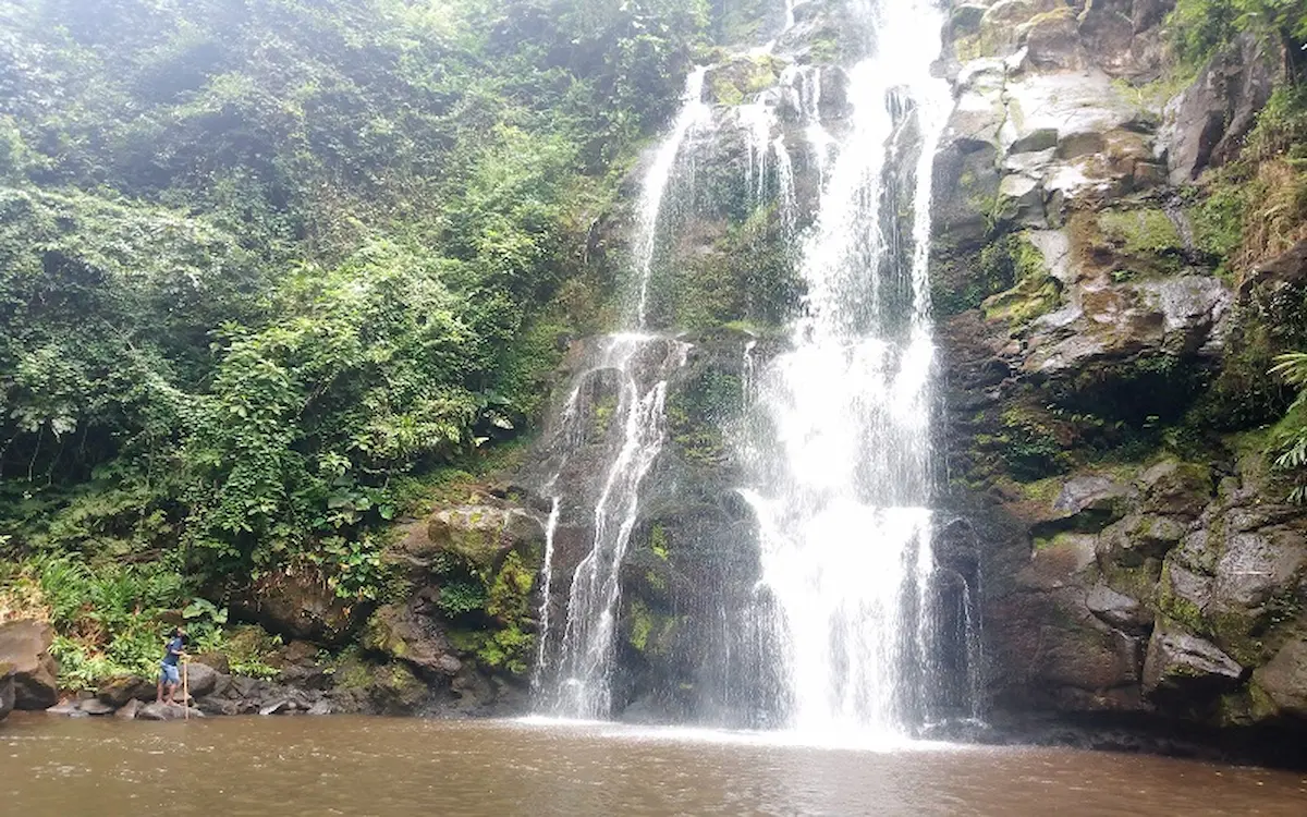 Marangu Route 5 Days | Kilimanjaro Climbing (Hut Route) gallery image 3
