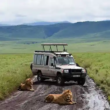 15 Days Great Migration Luxury Safari Kenya & Tanzania | Generous African Tours gallery image 3