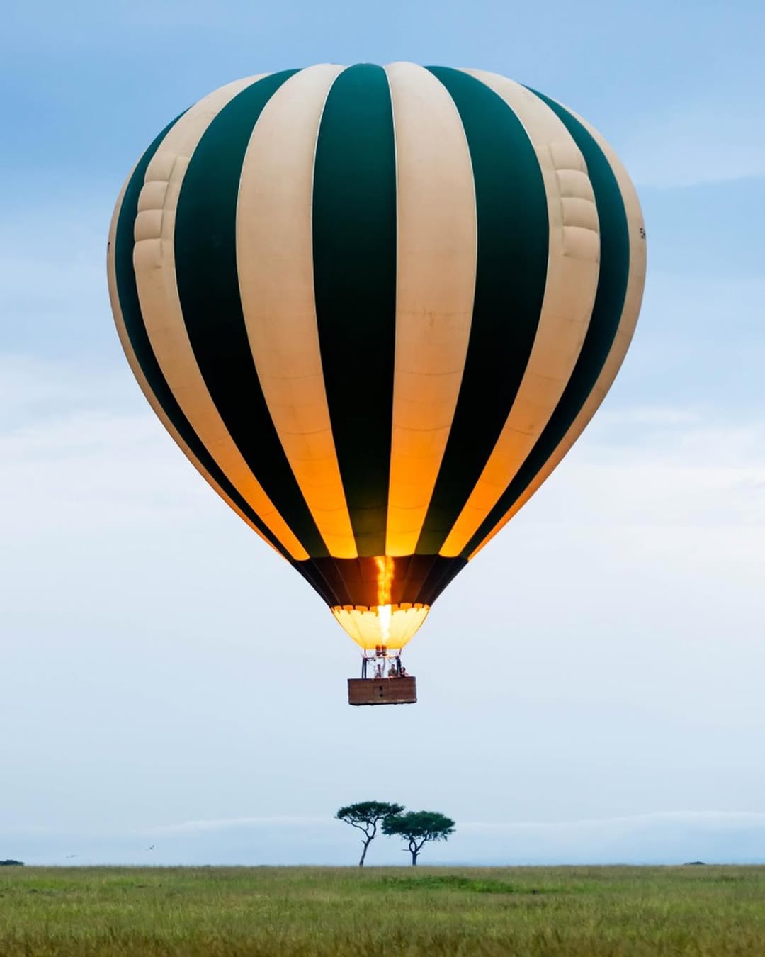 3-Day Serengeti Safari Package | Generous Tours & Safaris gallery 3