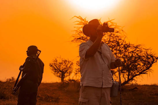 Walking Safari Tanzania: Ngorongoro Highlands | Generous Tours & Safaris gallery 2