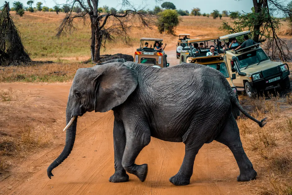 JRO Transfer & Arusha Hotel Package | Generous Tours gallery 1