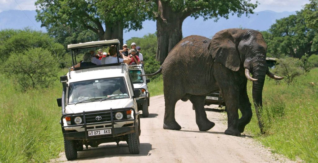 5-Day Tanzania Safari: Serengeti & Ngorongoro | Generous Tours & Safaris 2027 gallery 3
