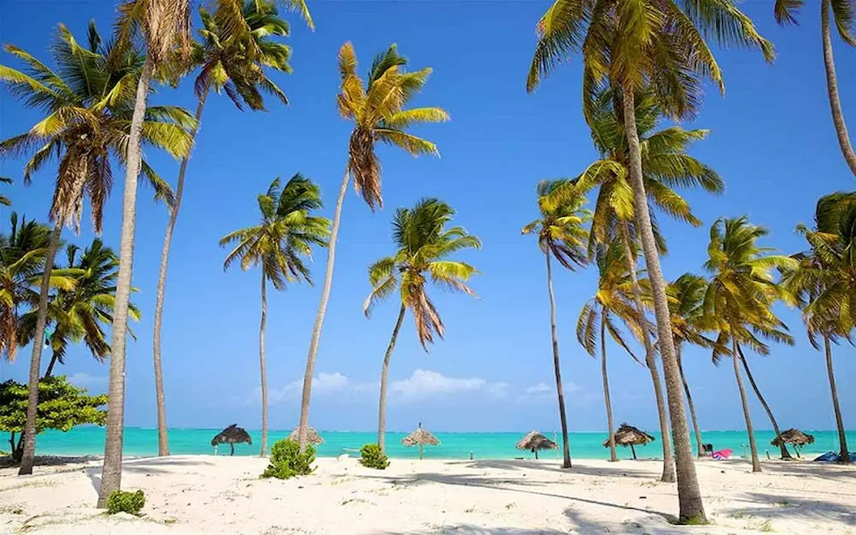6 days Zanzibar beach culture experience