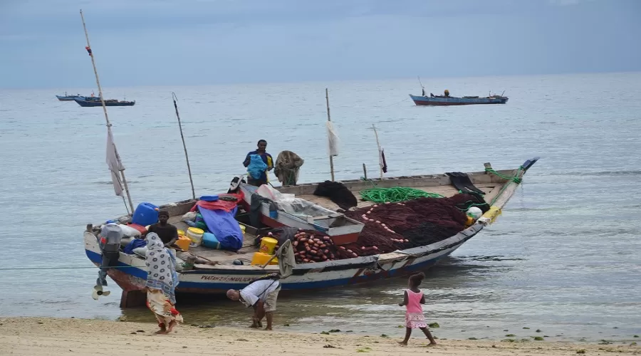 6 Days Zanzibar Beach & Culture | Stone Town & Island Luxury Escape