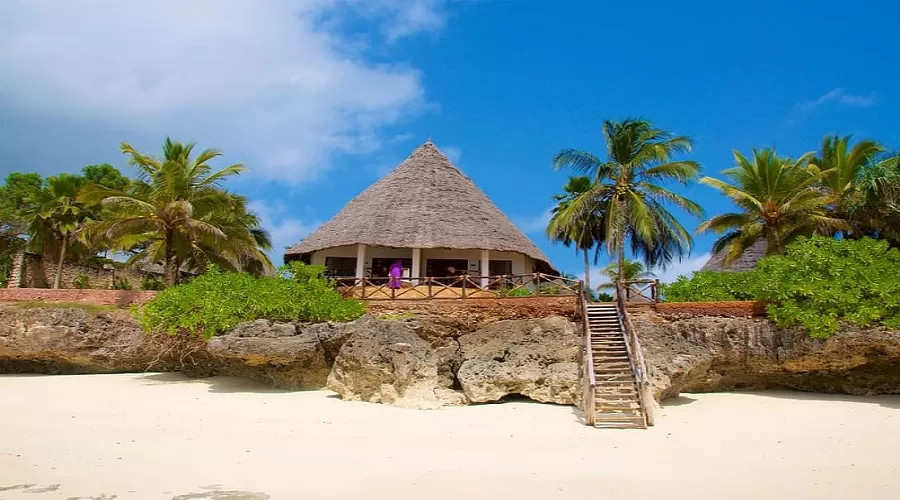 Jozani Forest Tour Zanzibar 2026,2027 & 2028. | Red Colobus Monkey Sanctuary | Generous African Tours