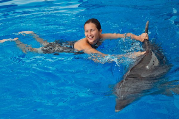Dolphin Tours