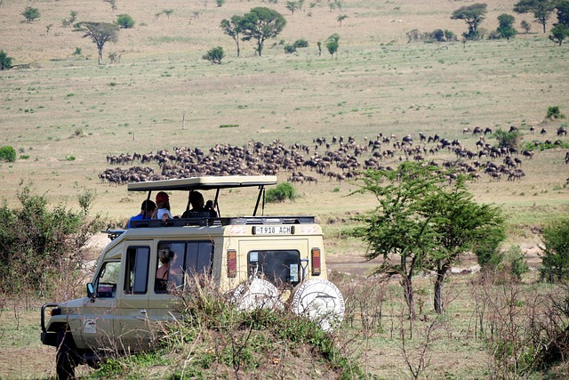10 days big 5 safari all northern parks