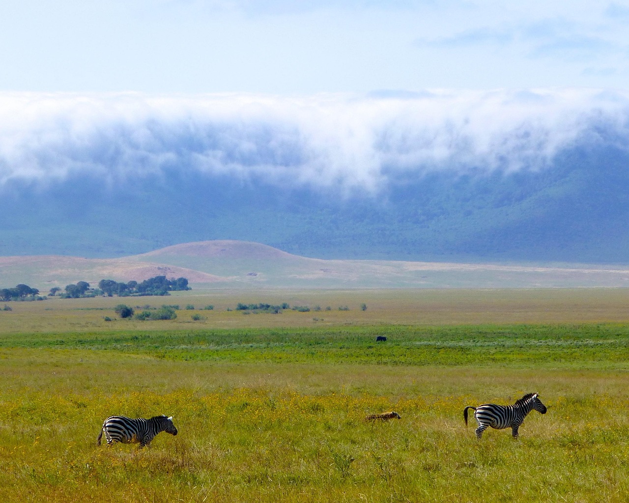 2 day luxury safari in ngorongoro crater