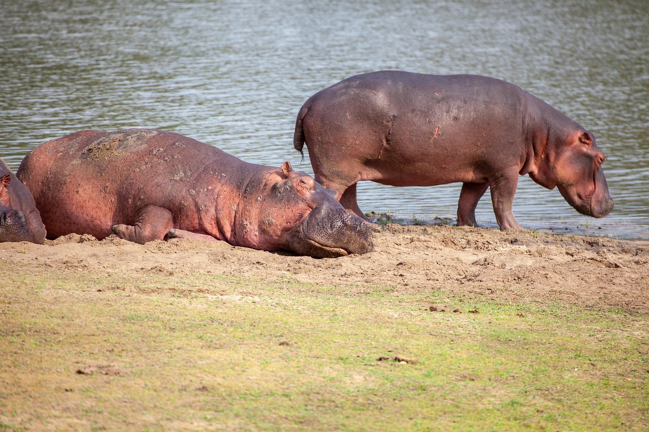 3 day tarangire, ngorongoro