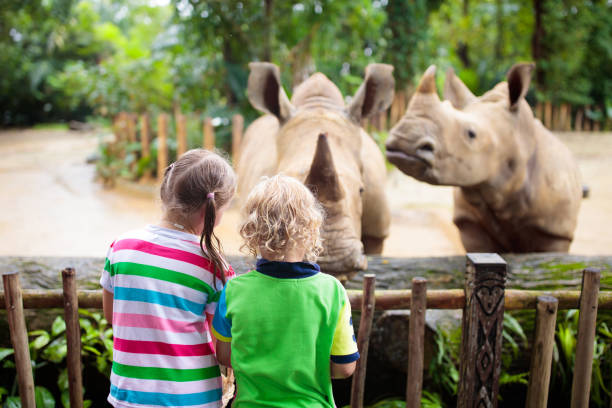 3 days tanzania family safari