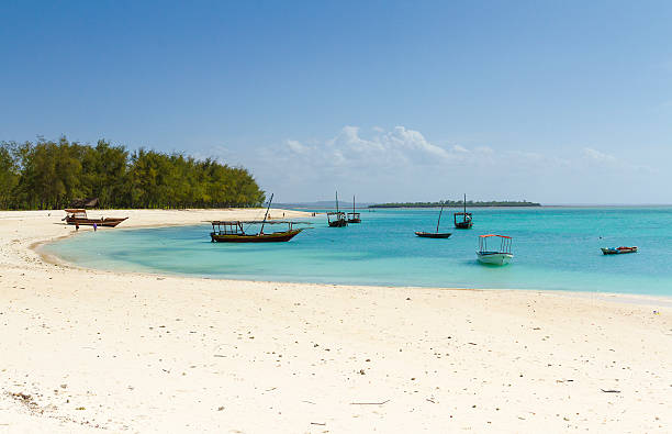 5 day tanzania safari and zanzibar combo