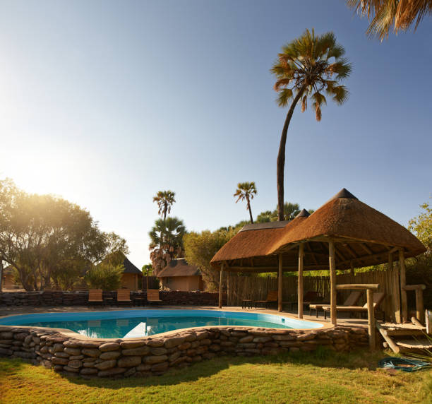 5 days tanzania lodge safari