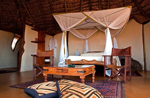 6 days tanzania lodge safari