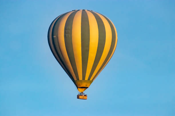7 day tanzania safari with balloon ride in serengeti