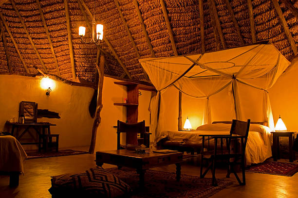 7 days tanzania lodge safari