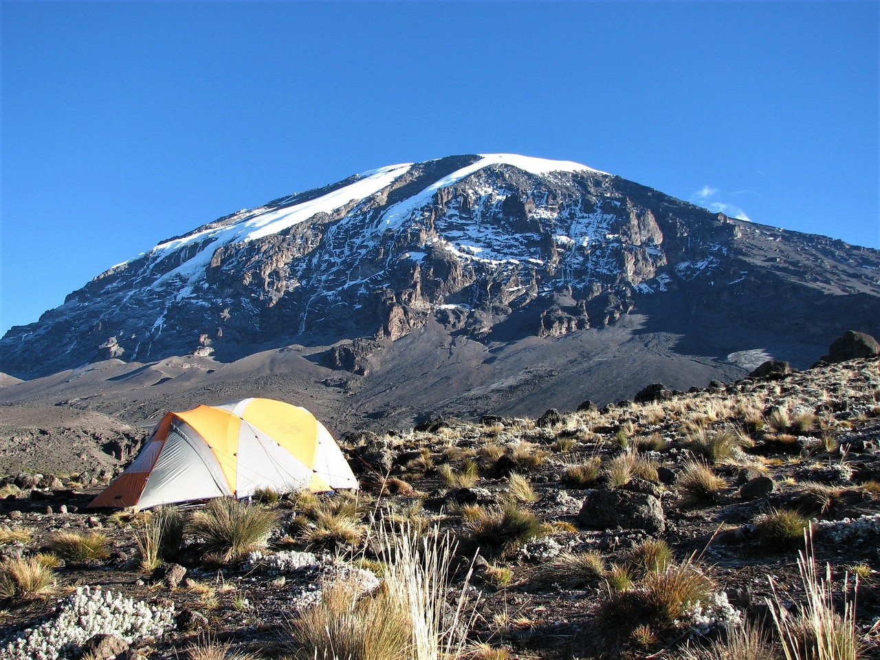 8 day safari and kilimanjaro hike combination