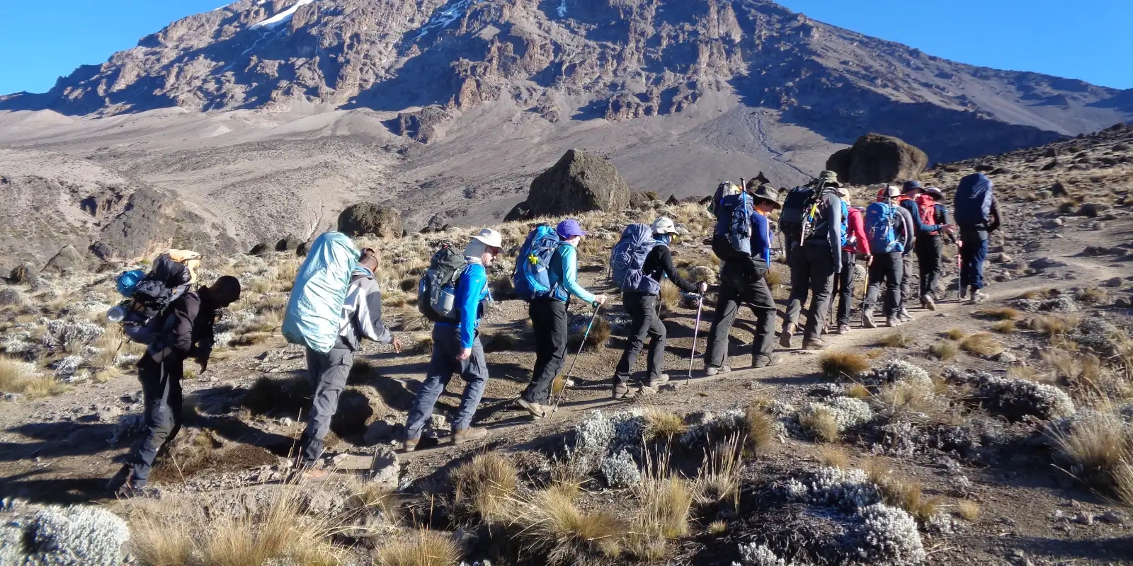 lemosho ultimate trek – 8 days small groups