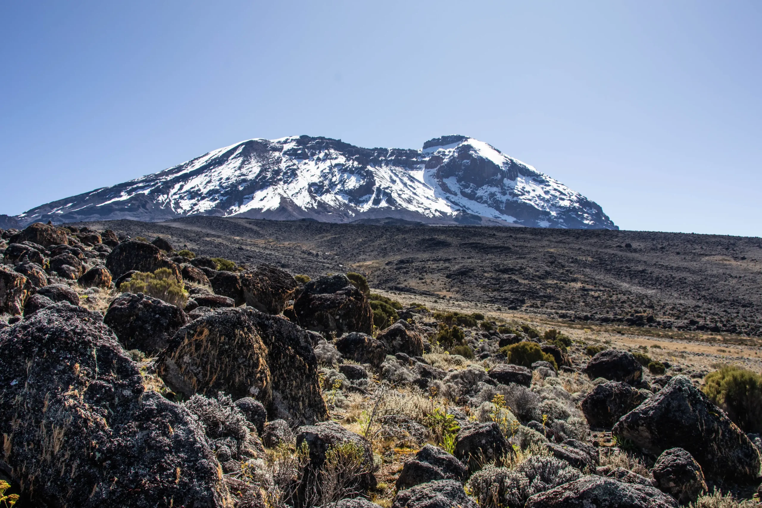 affordable-kilimanjaro-trips-machame-7-days