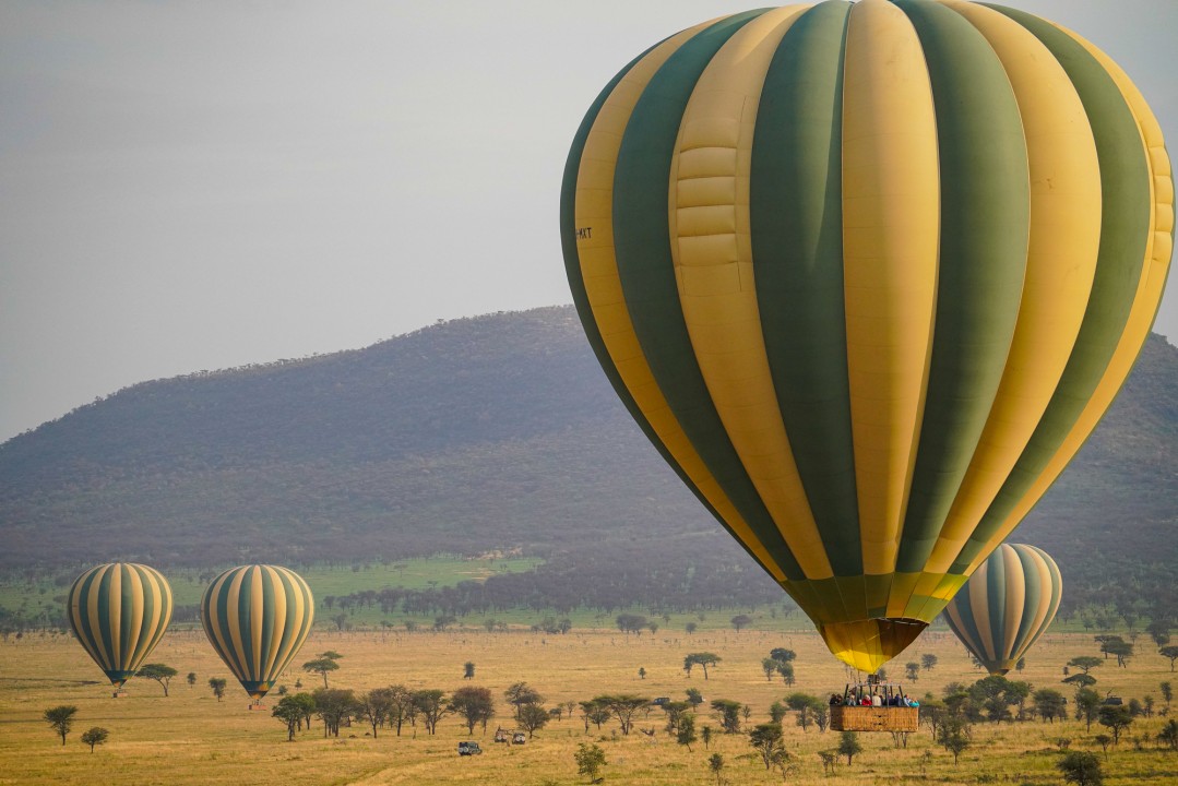 How Much Does a Serengeti Balloon Safari Cost?