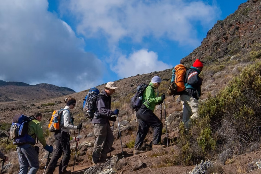 kilimanjaro-short-trek-6-days-quick-ascent