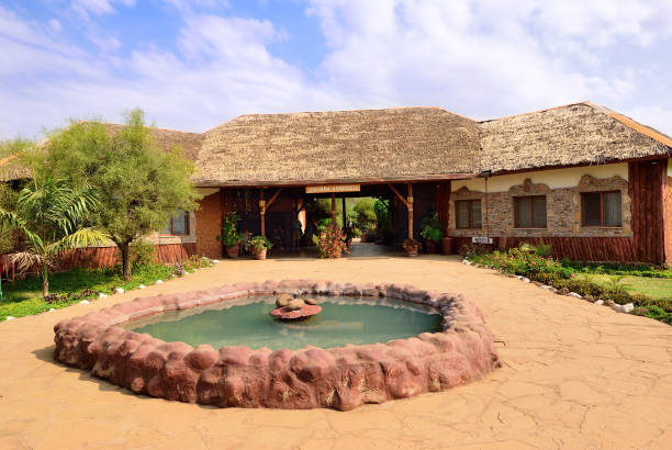 3 days tanzania lodge safari