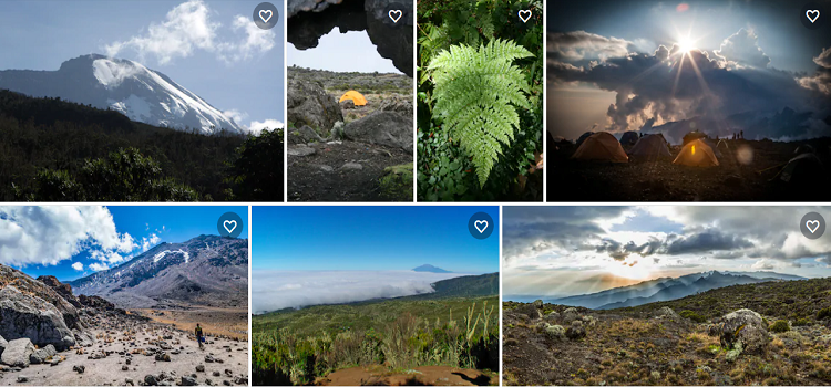 mount kilimanjaro climb and safari combo