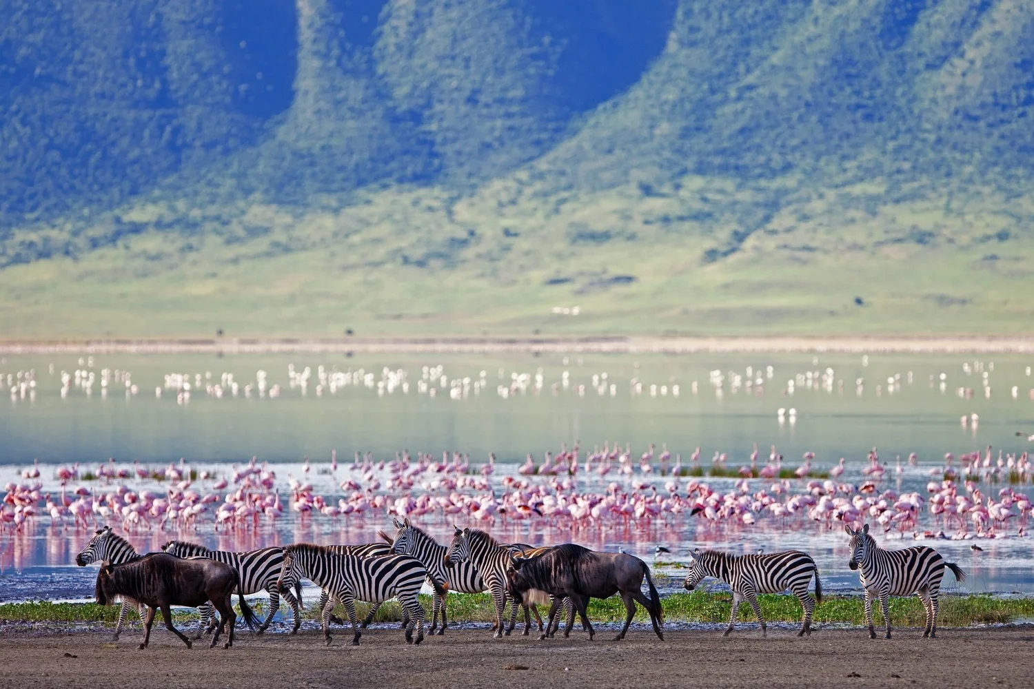 5-days-private-tanzania-safari