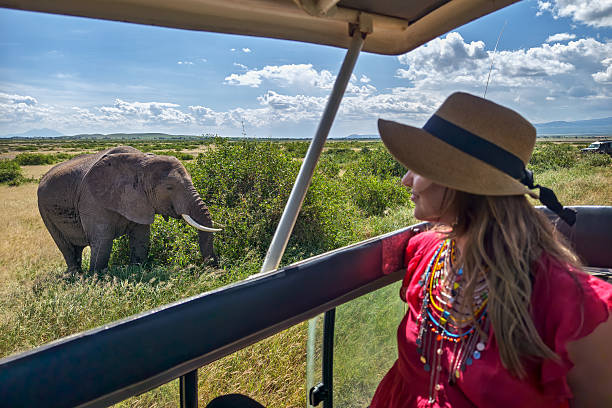 tanzania safari locations