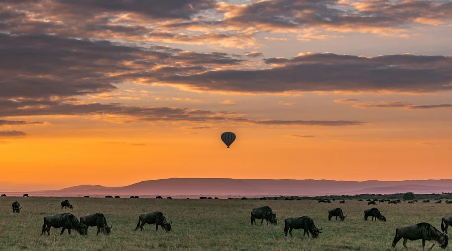 luxury serengeti safari lodges best places to stay